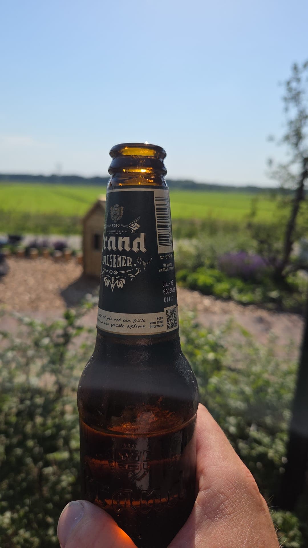 Beer #19936