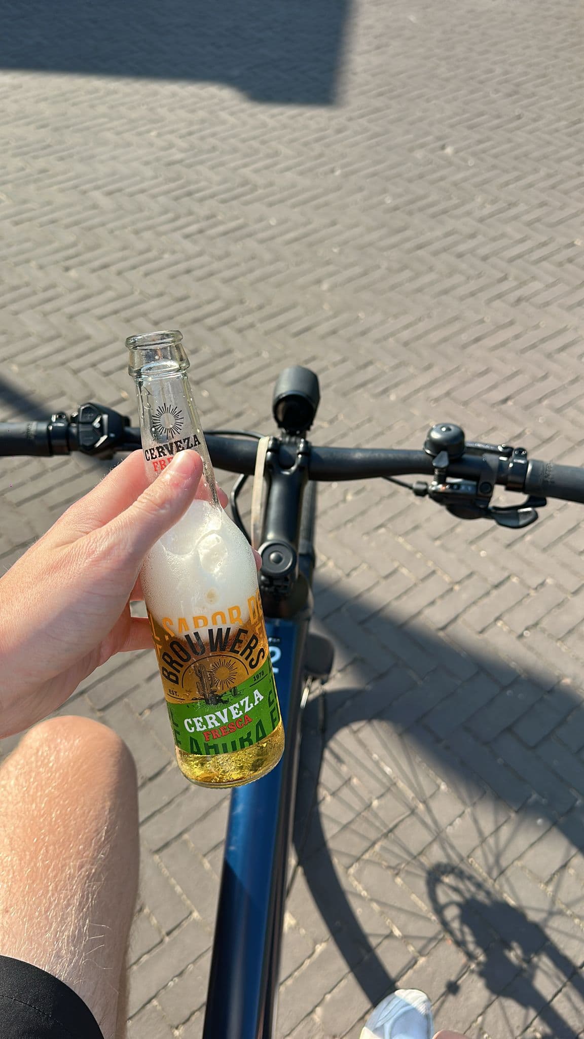 Beer #19937