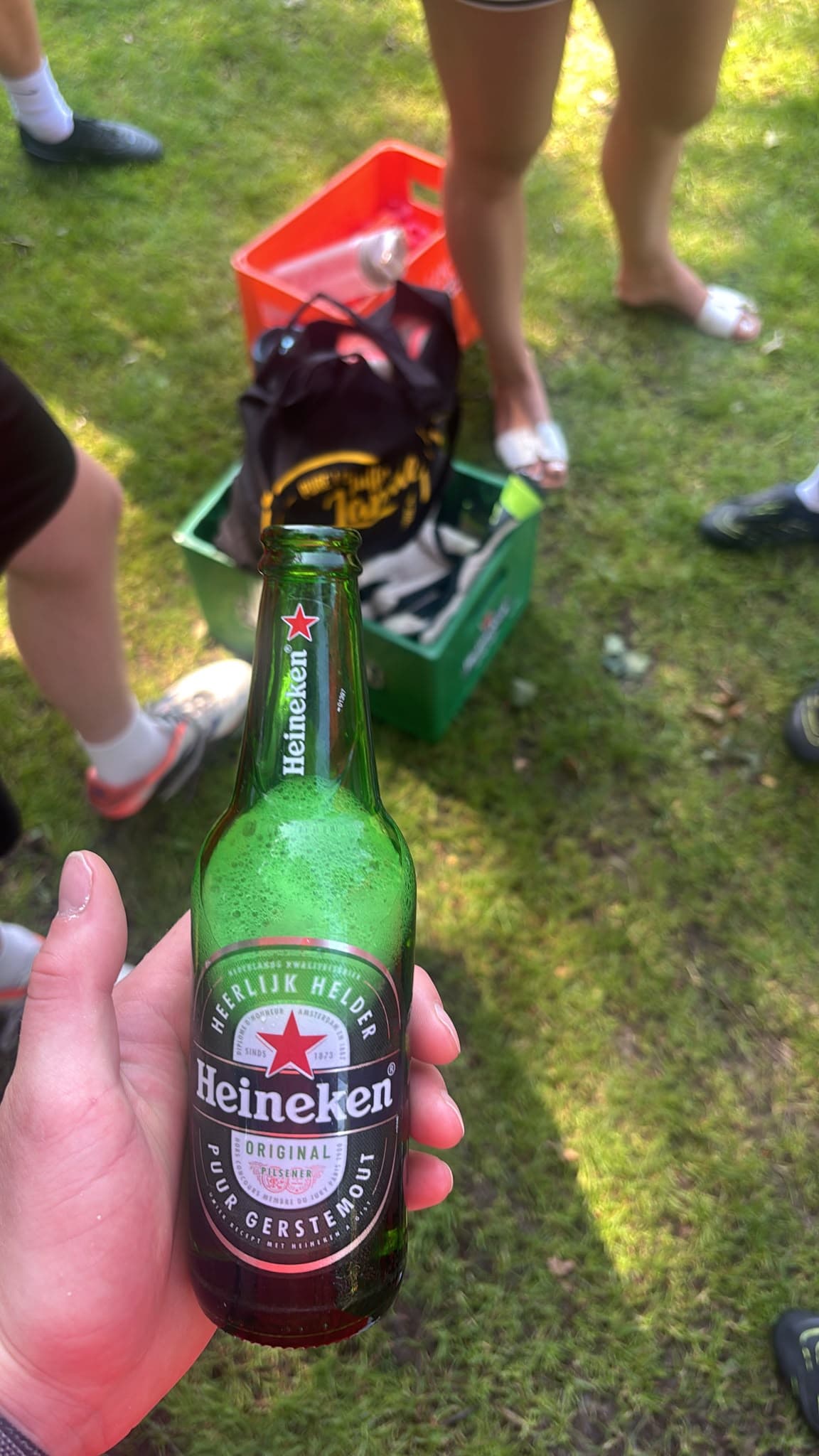 Beer #20331