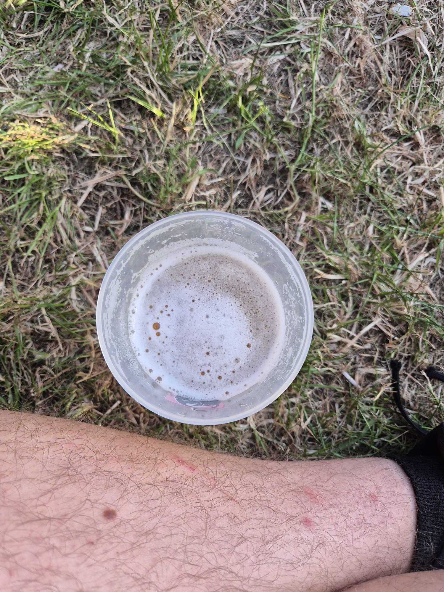 Beer #20521