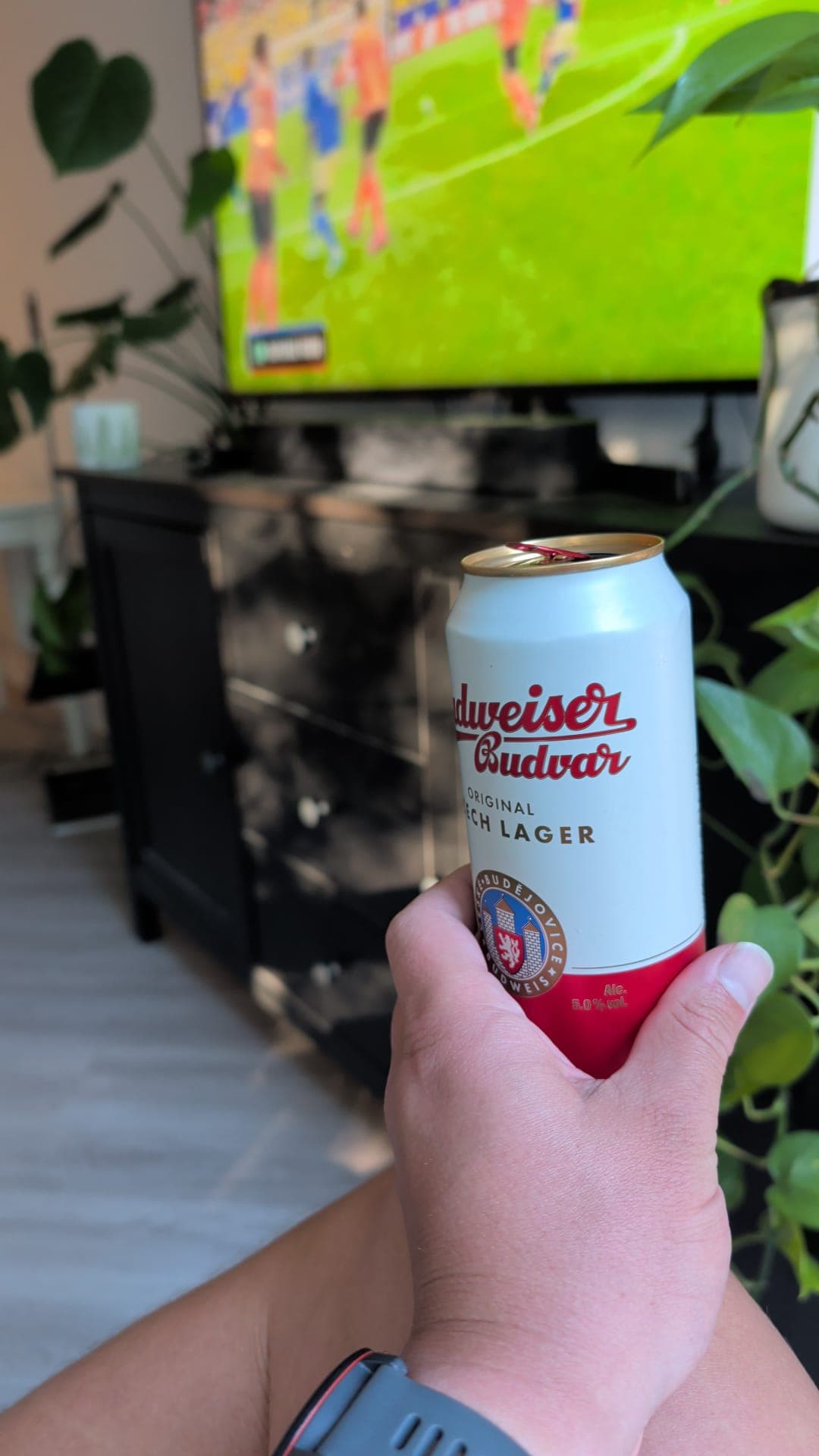 Beer #20523