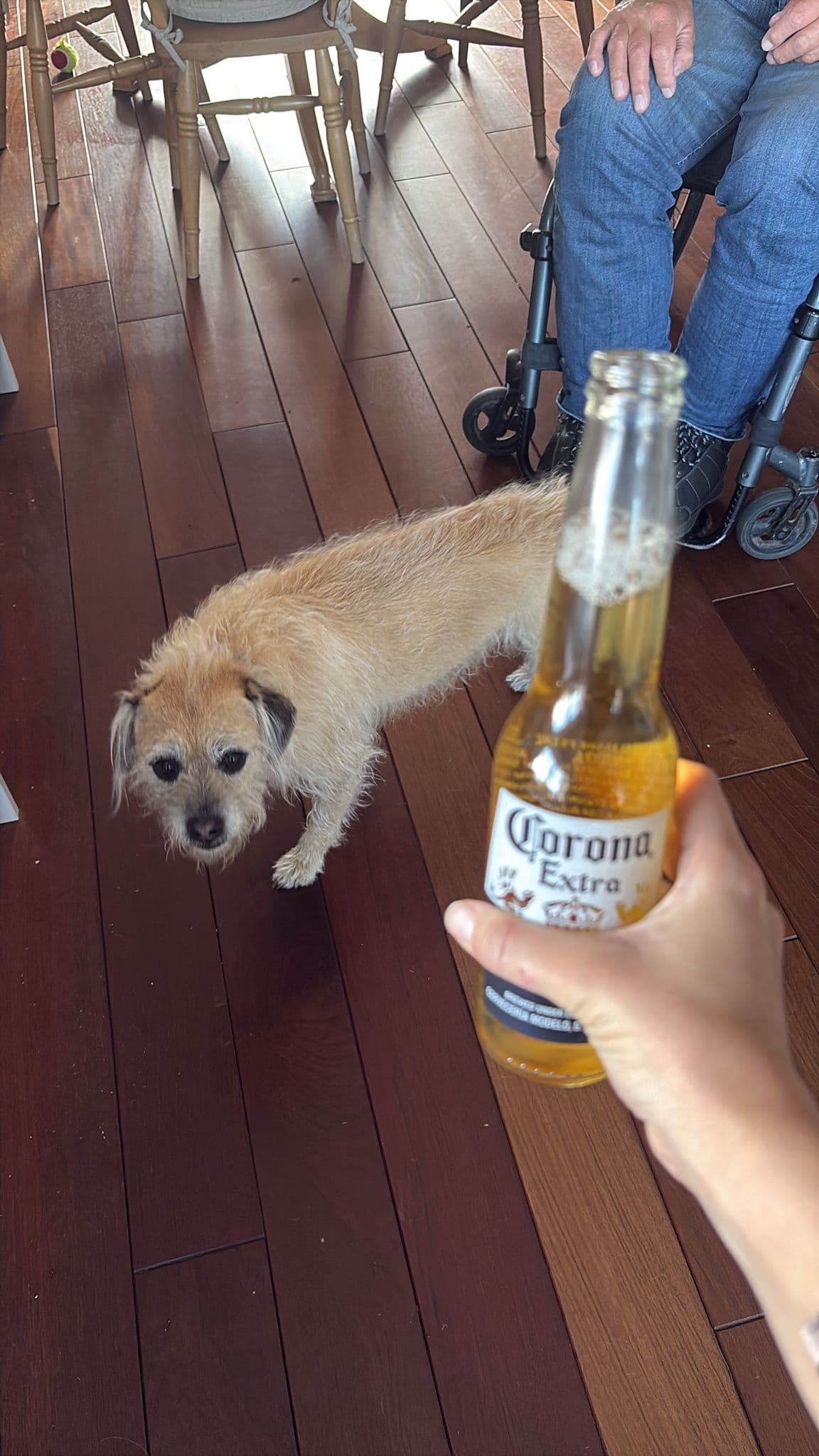 Beer #20768
