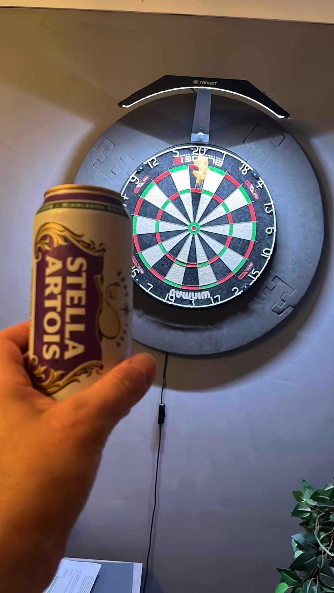 Beer #21266
