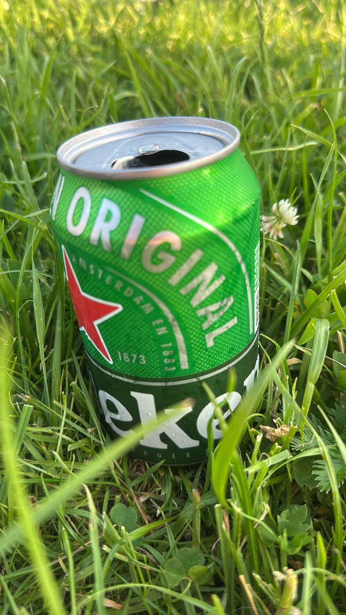 Beer #21365
