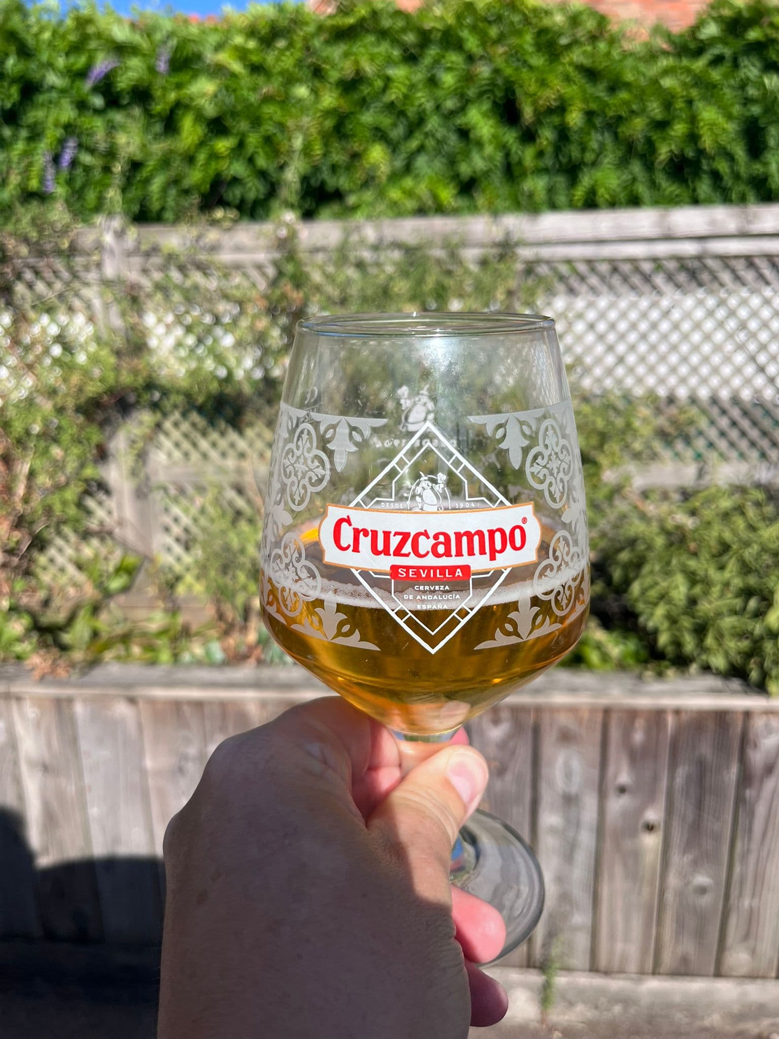 Beer #21980