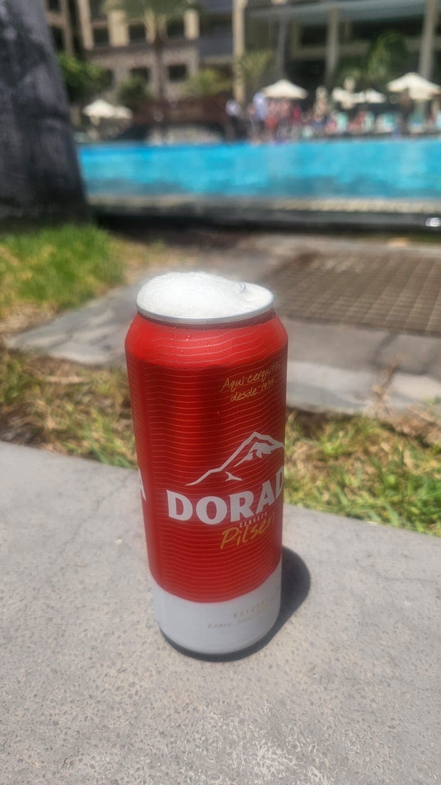 Beer #22234