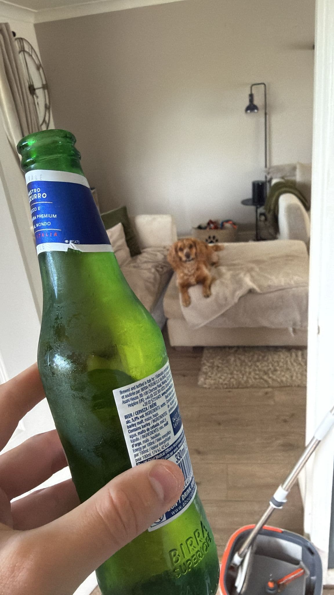 Beer #22295