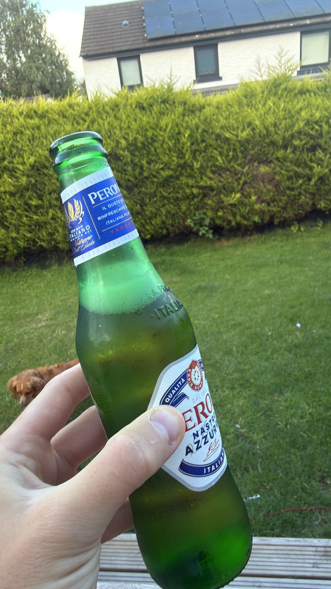 Beer #22371