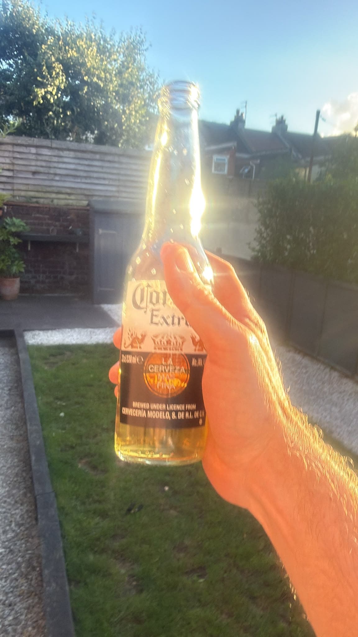 Beer #22810