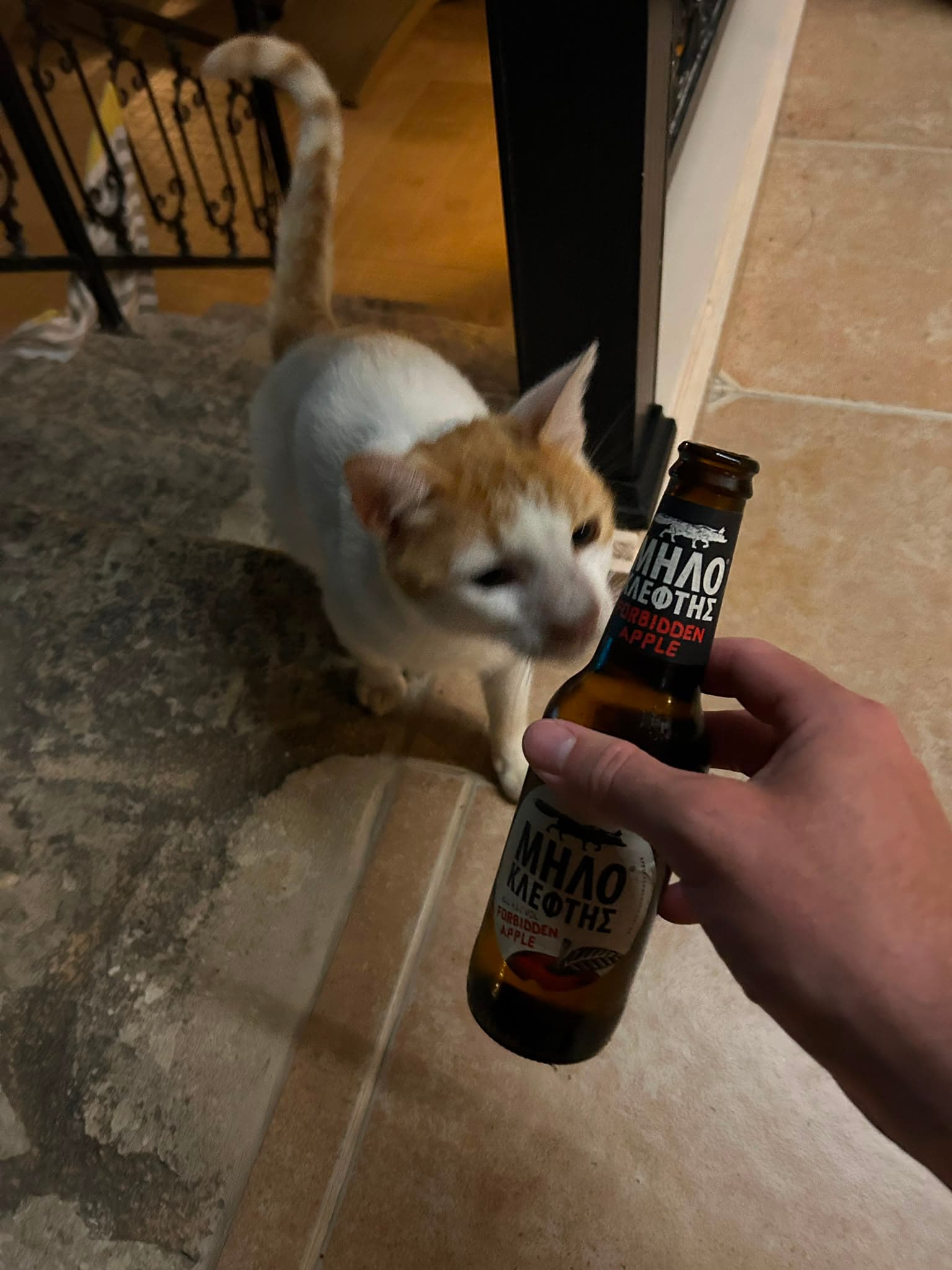 Beer #22971