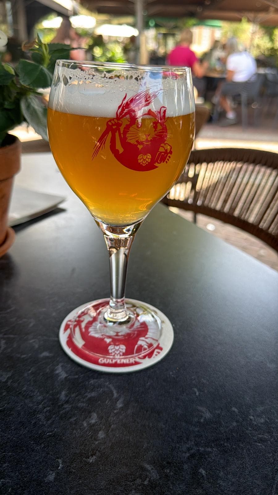 Beer #23312