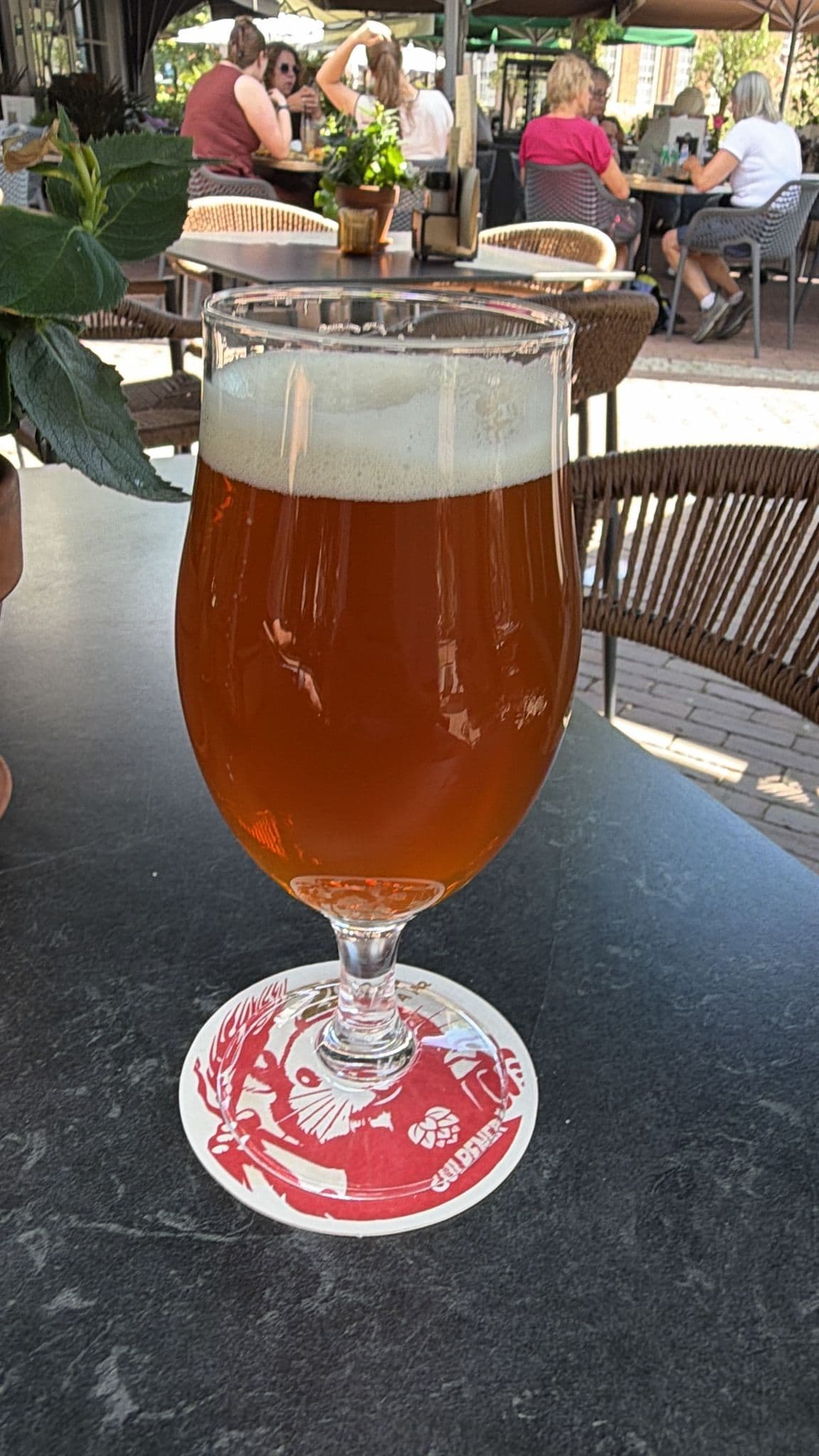Beer #23313