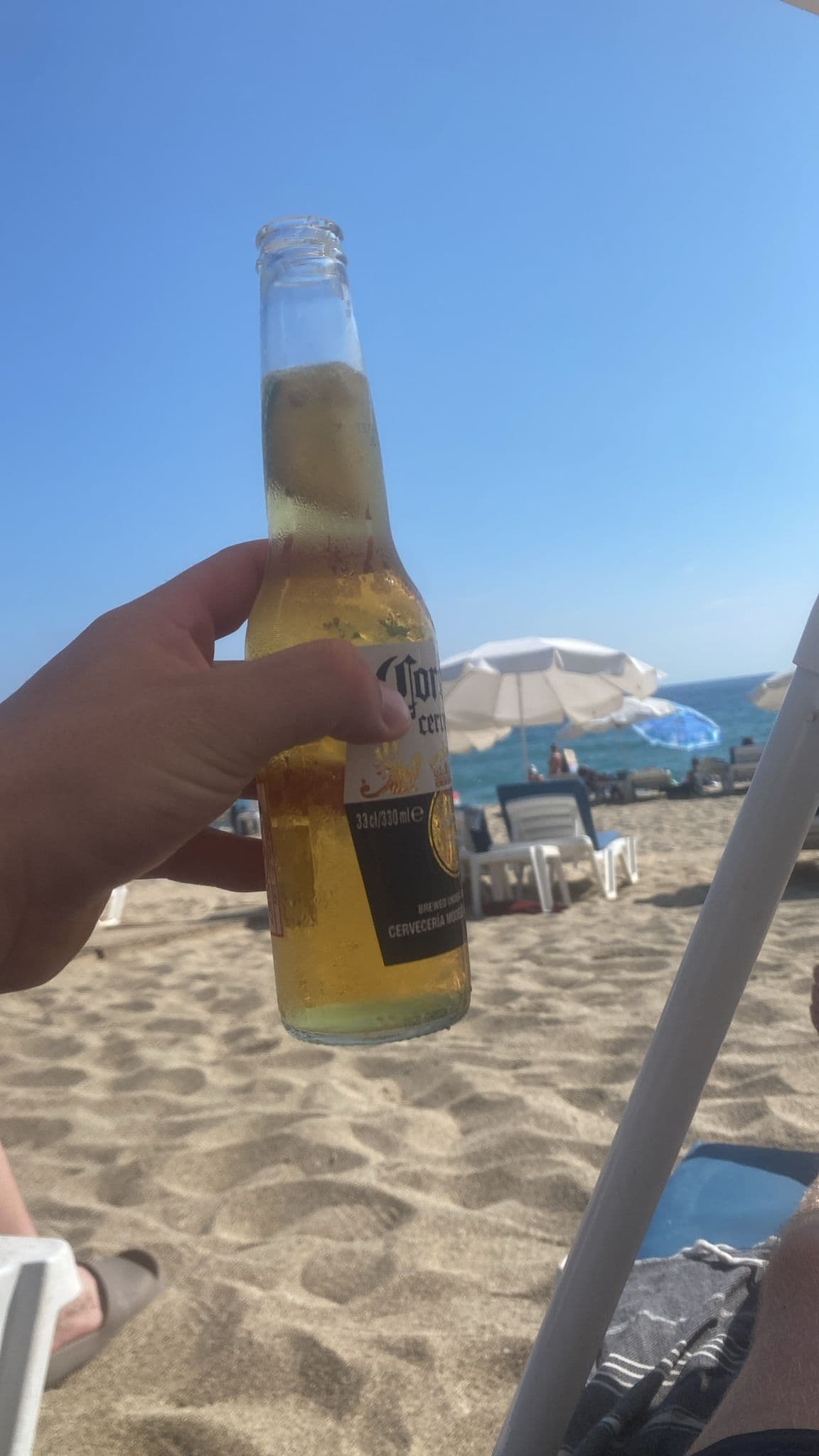 Beer #23317