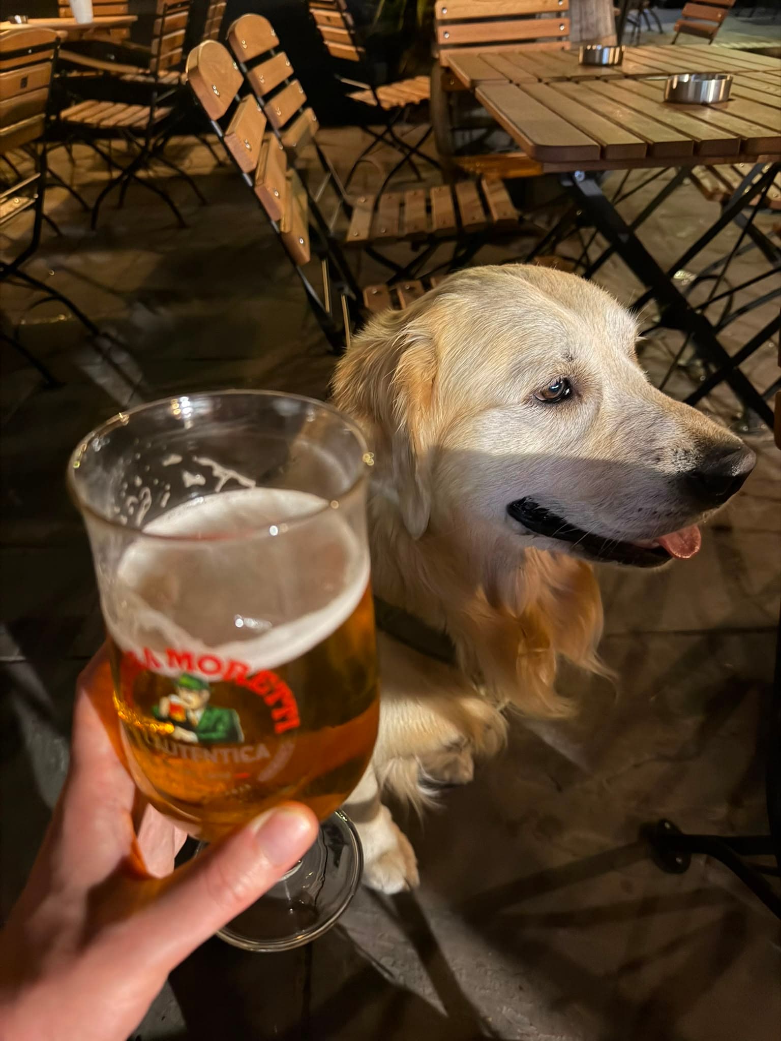 Beer #23675