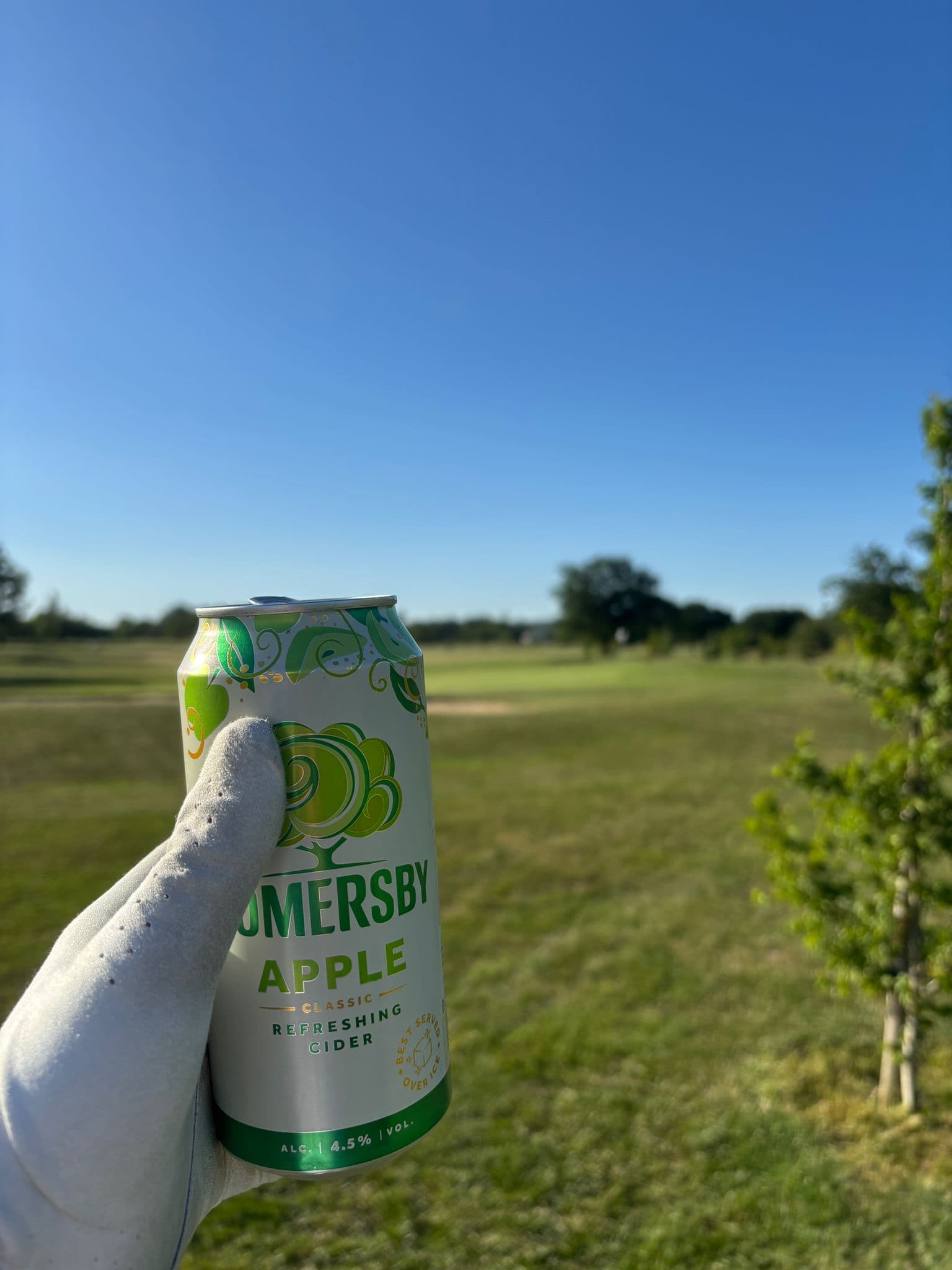 Beer #23810