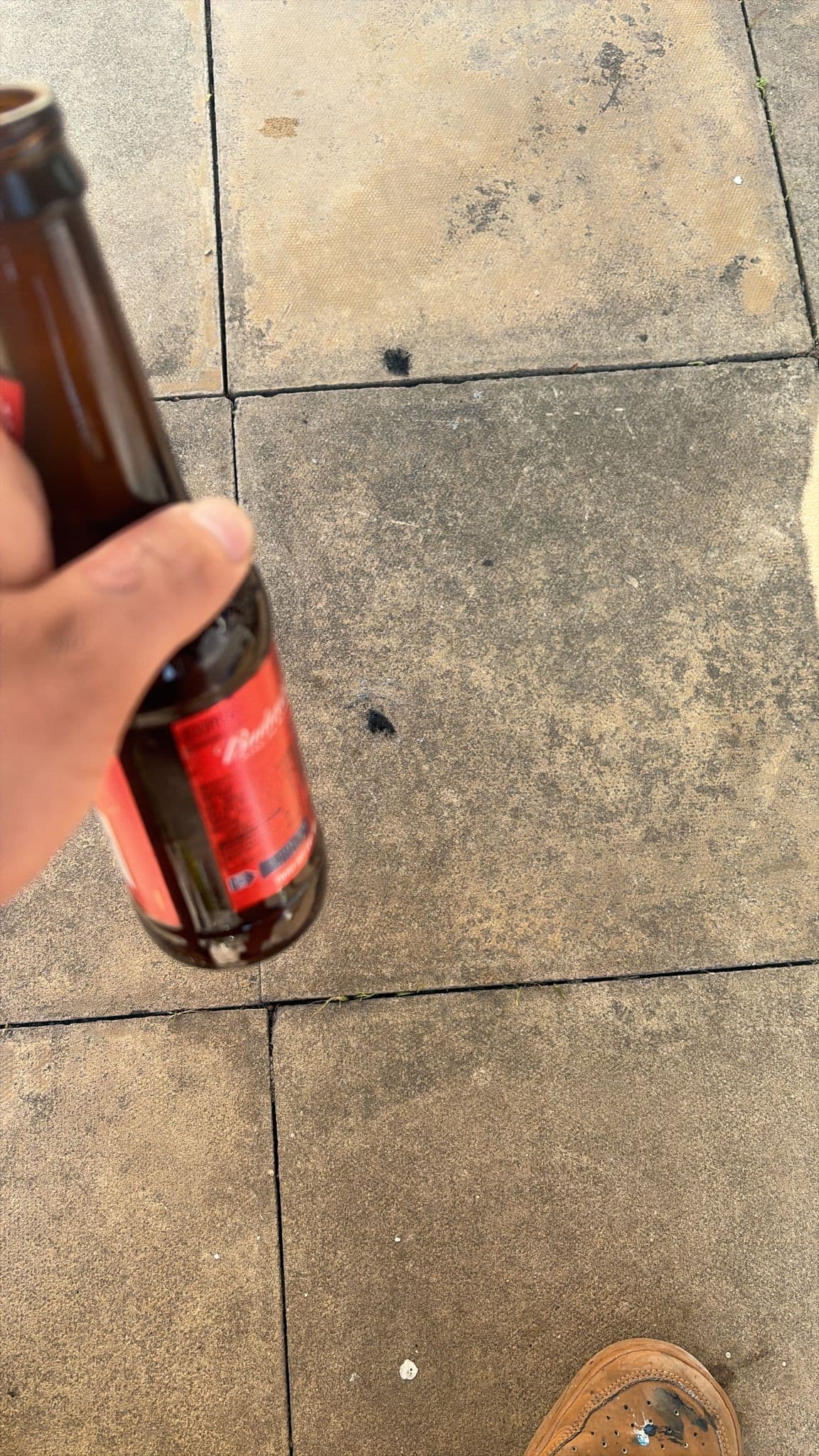 Beer #24071