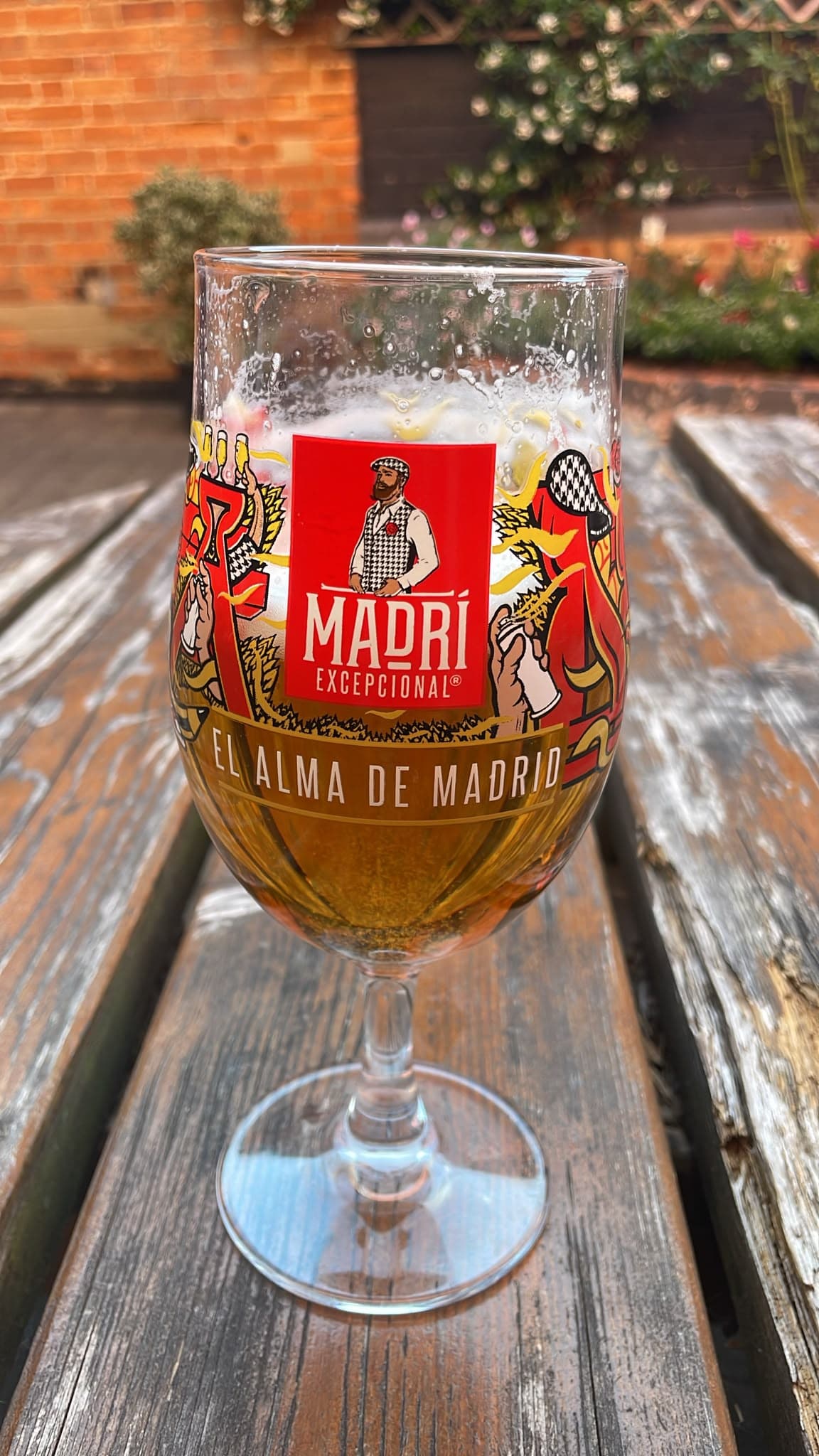 Beer #24106