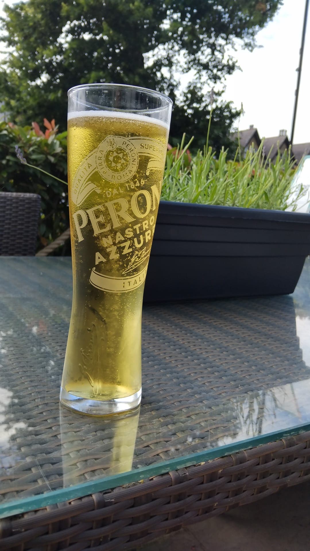 Beer #24440
