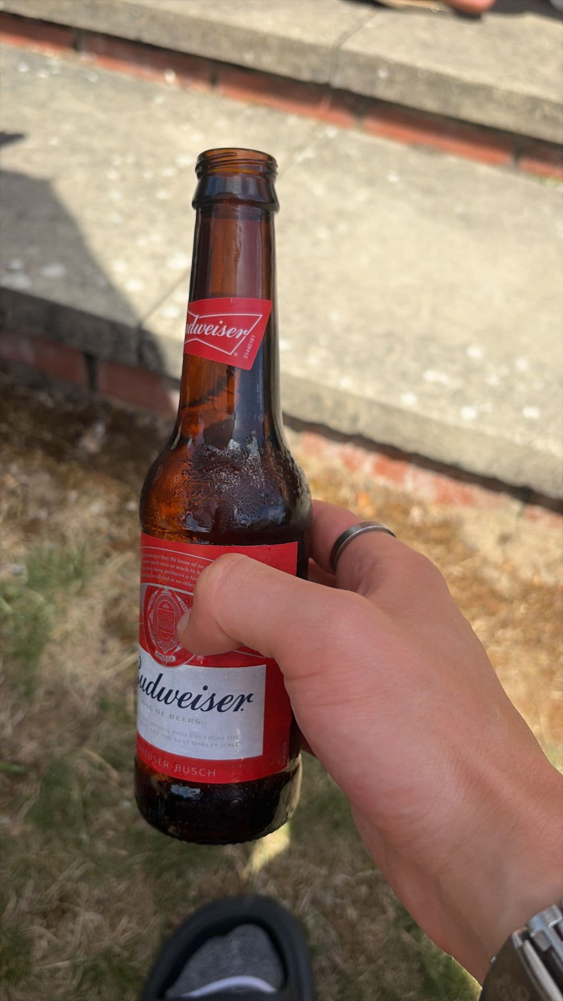 Beer #24486