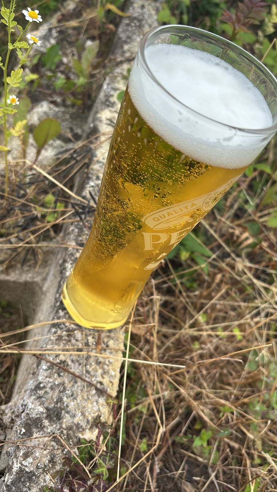 Beer #25293