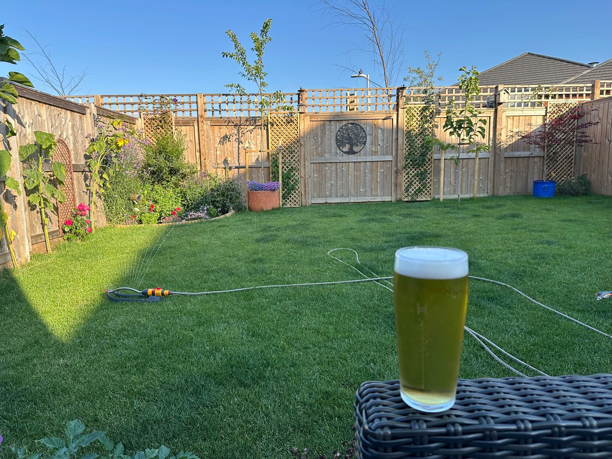 Beer #25654