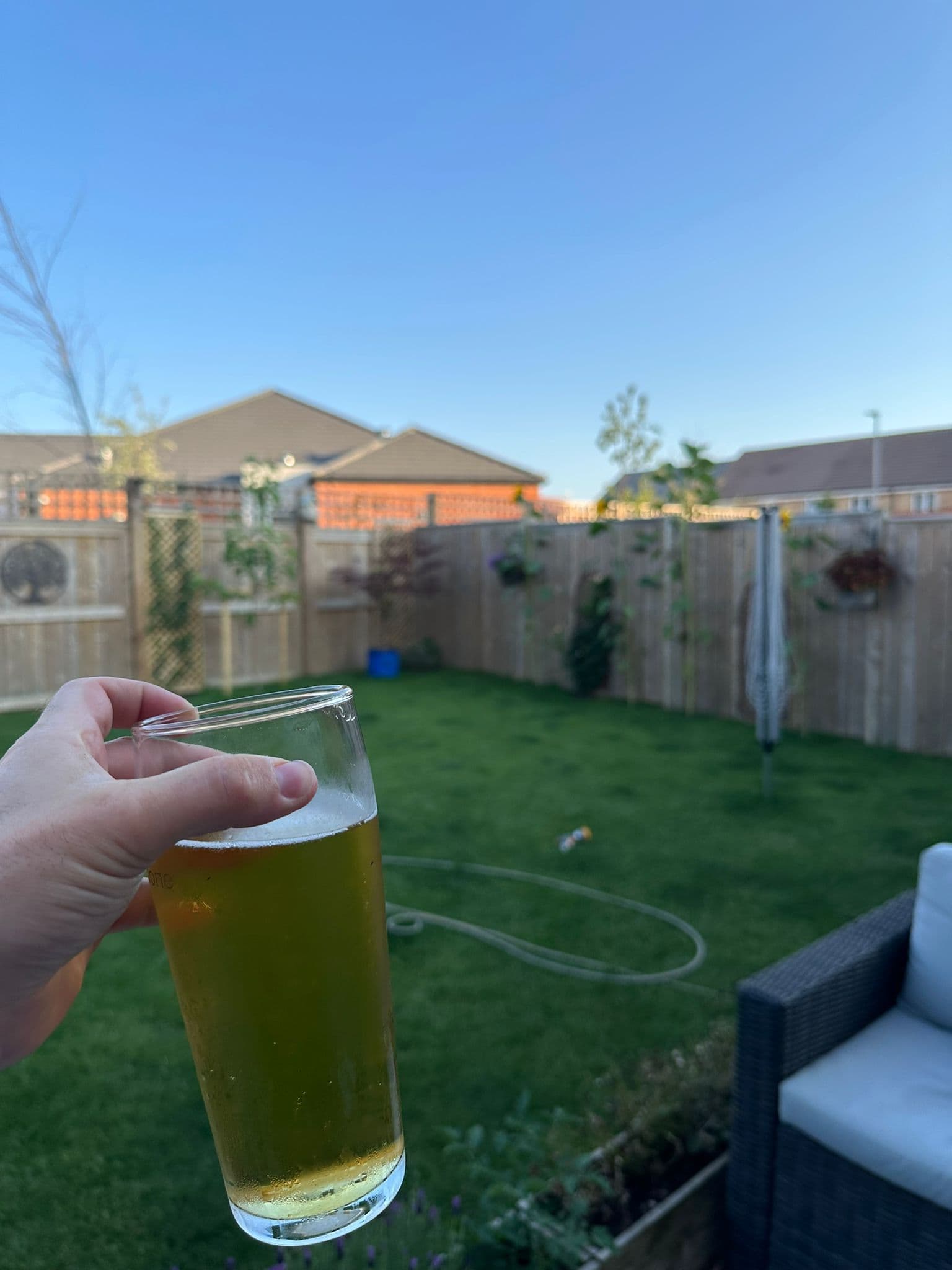 Beer #25672