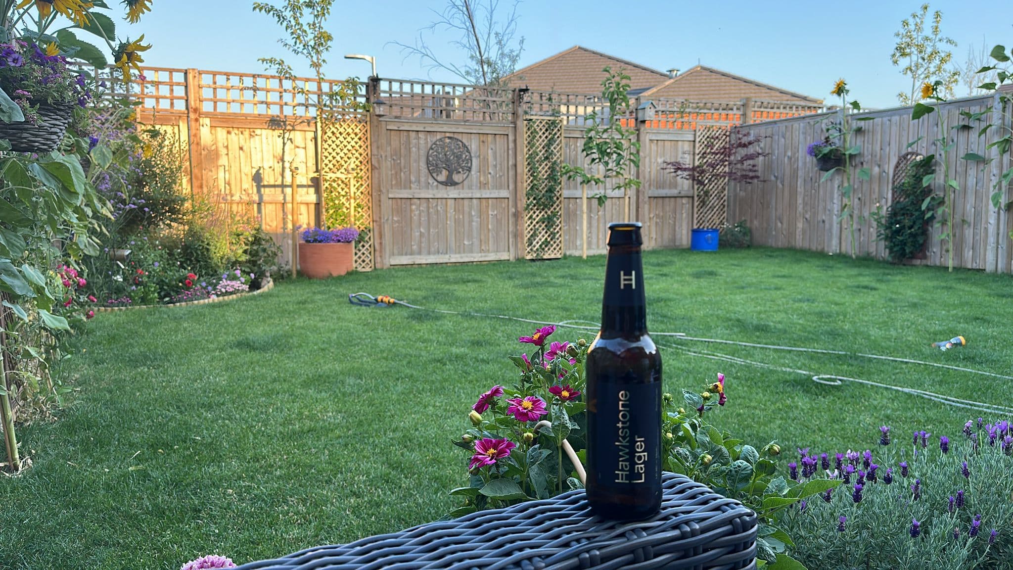 Beer #25687