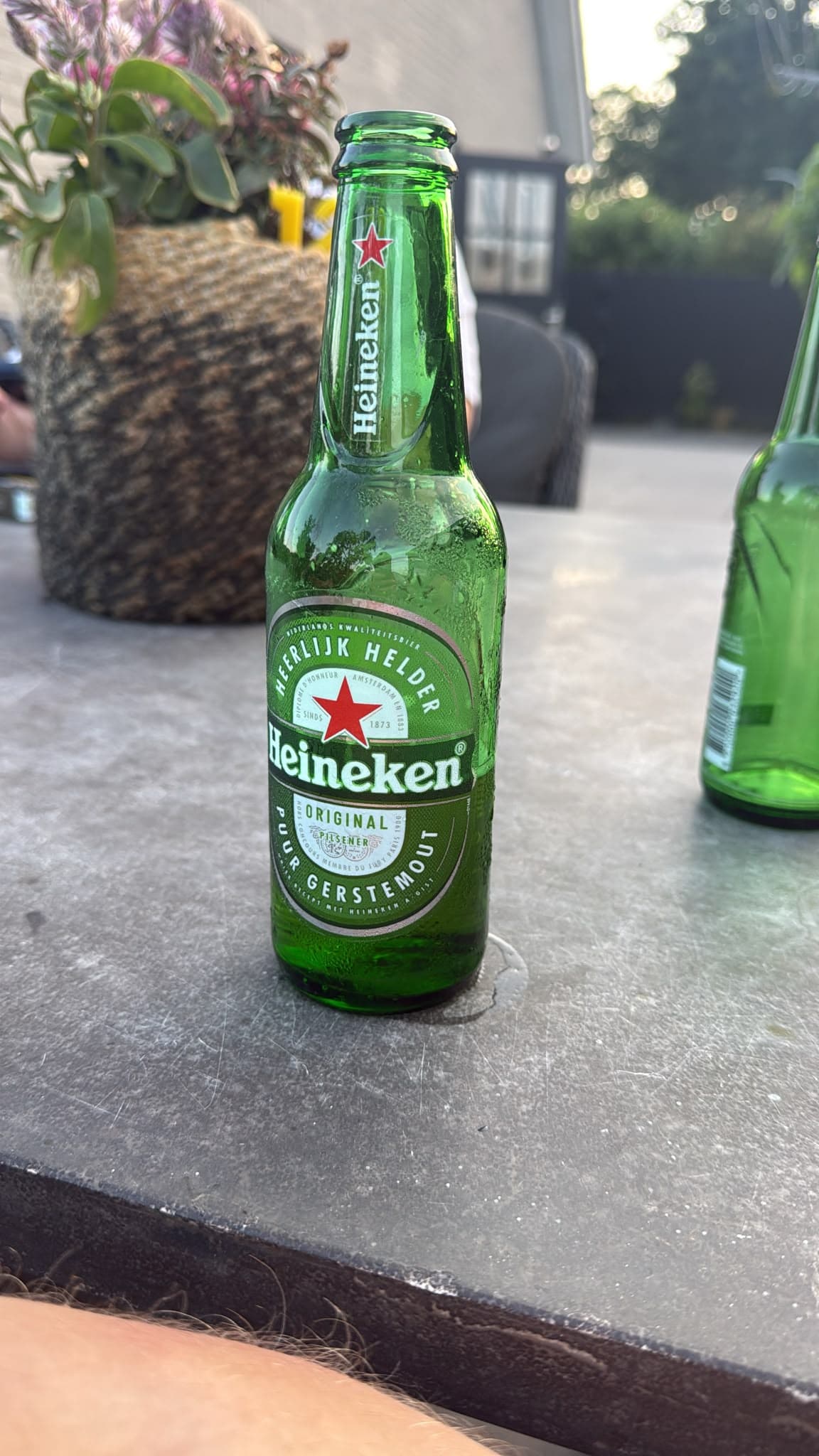 Beer #25912