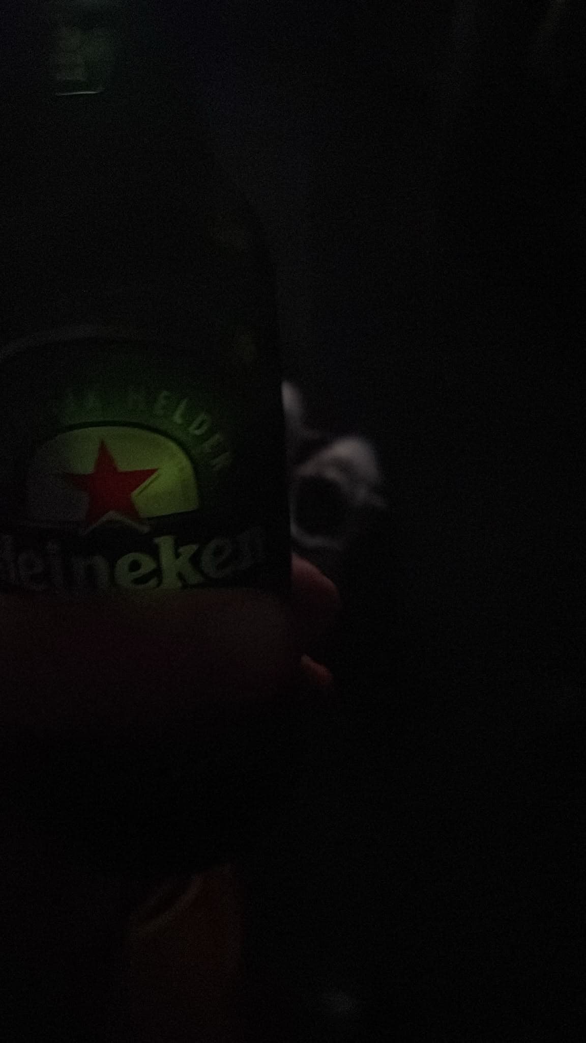 Beer #25998