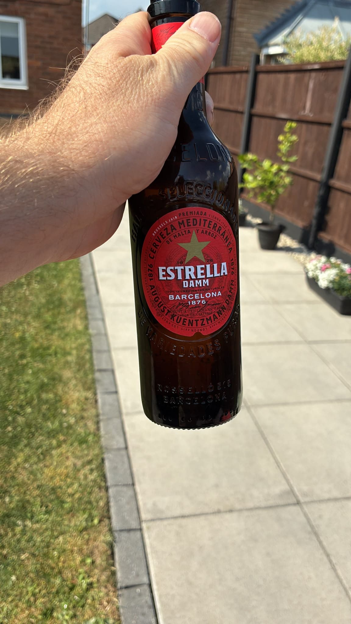 Beer #26120