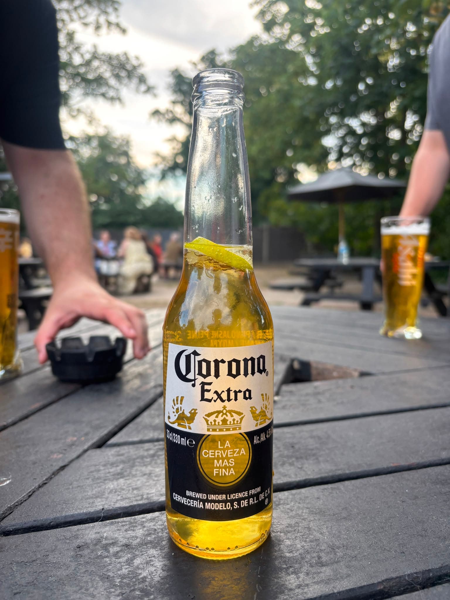Beer #26254