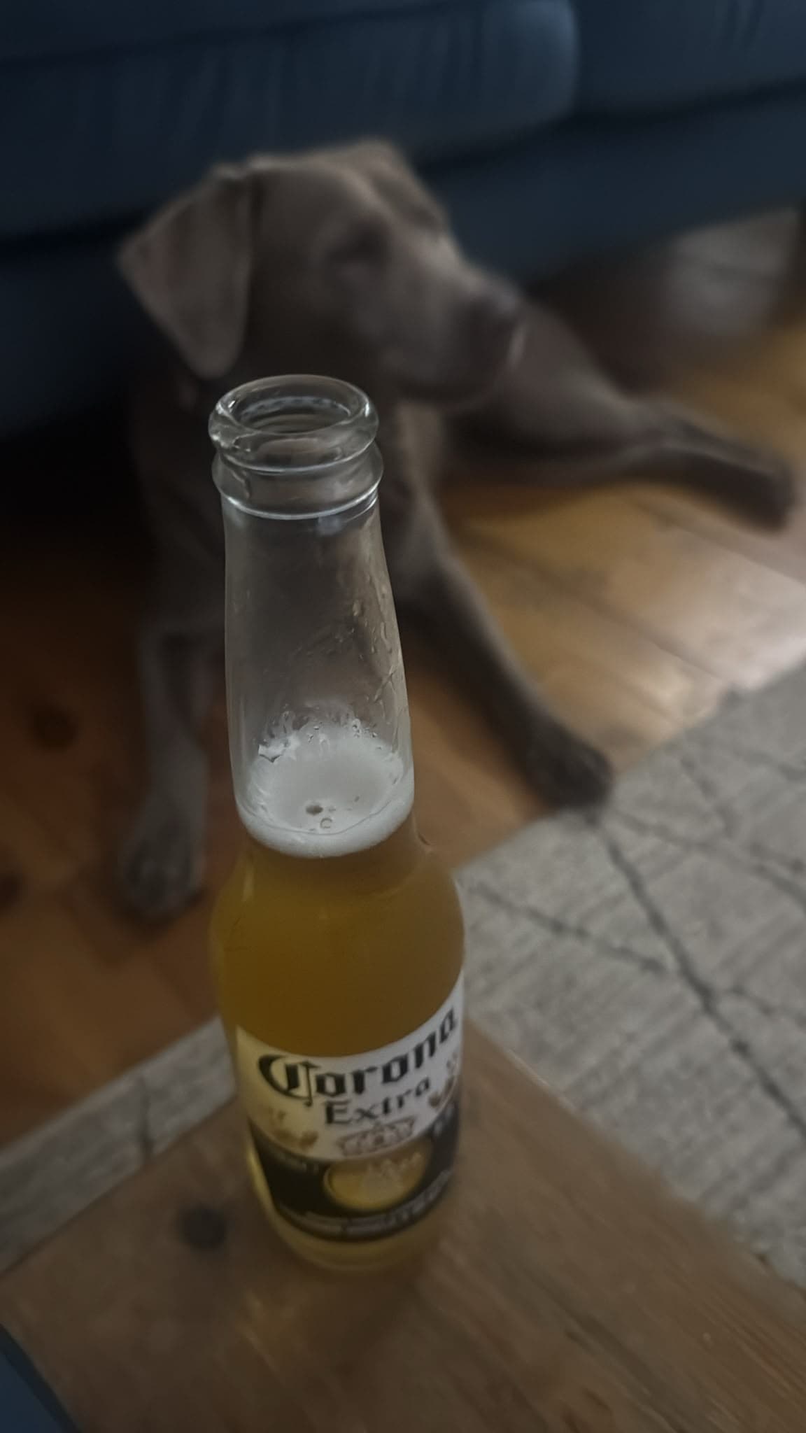 Beer #26394