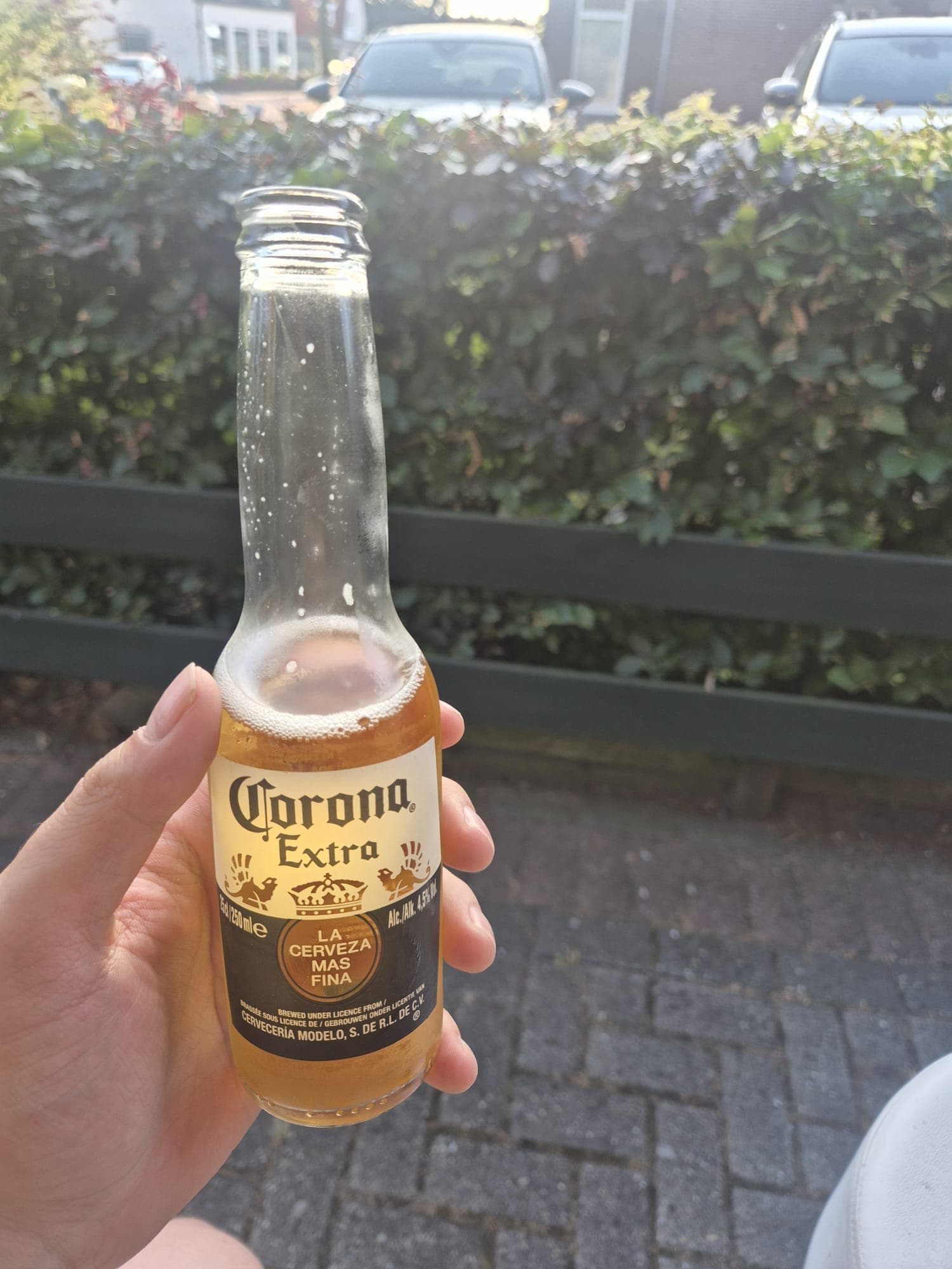 Beer #26944