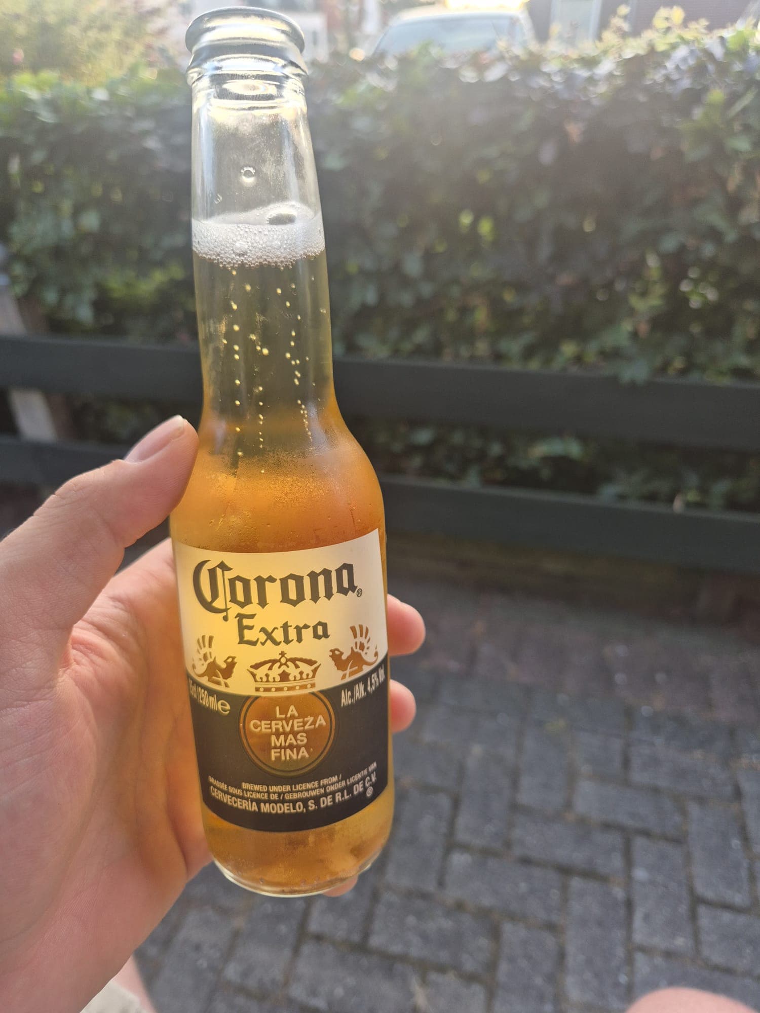 Beer #26966