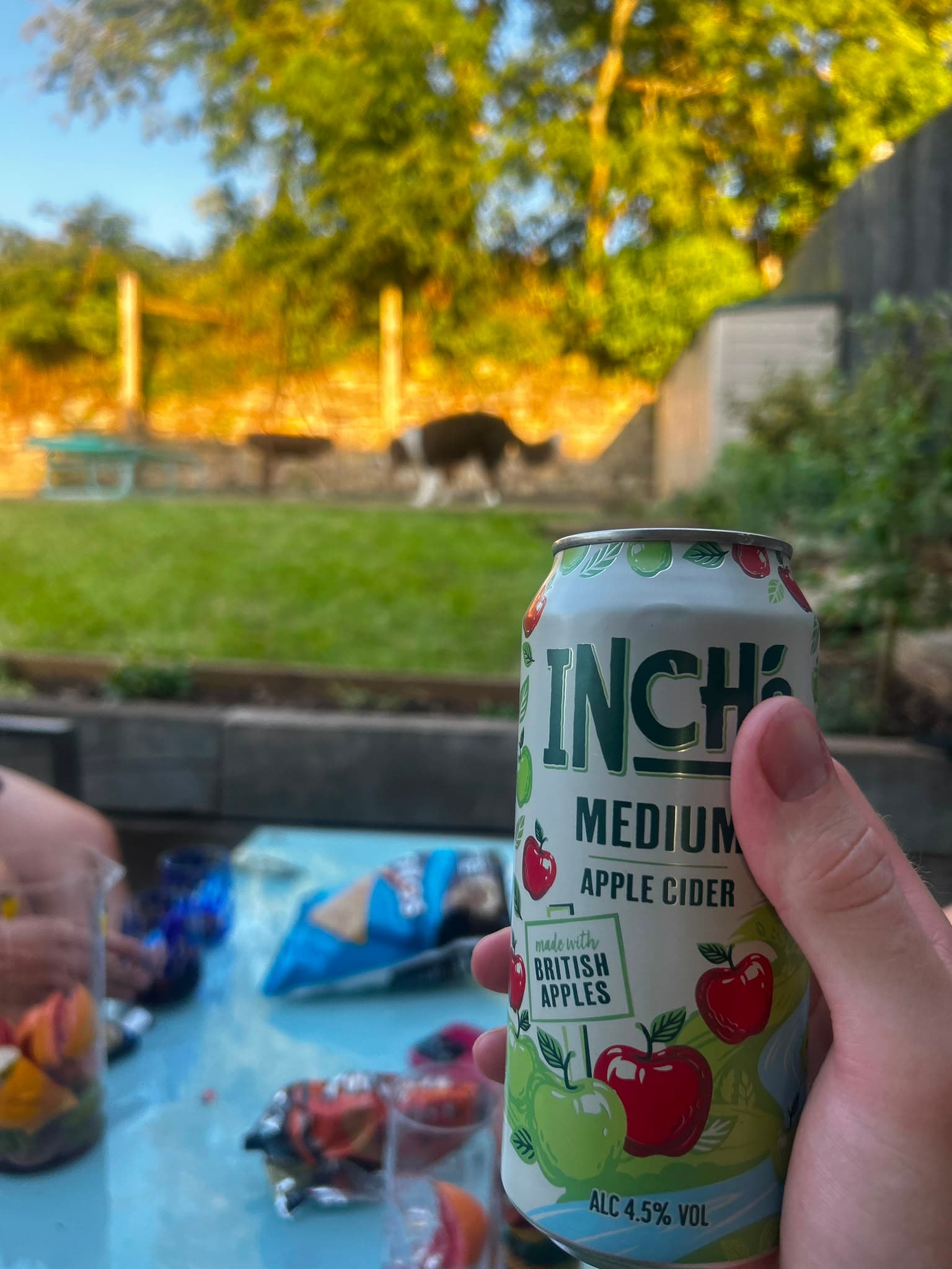 Beer #26976