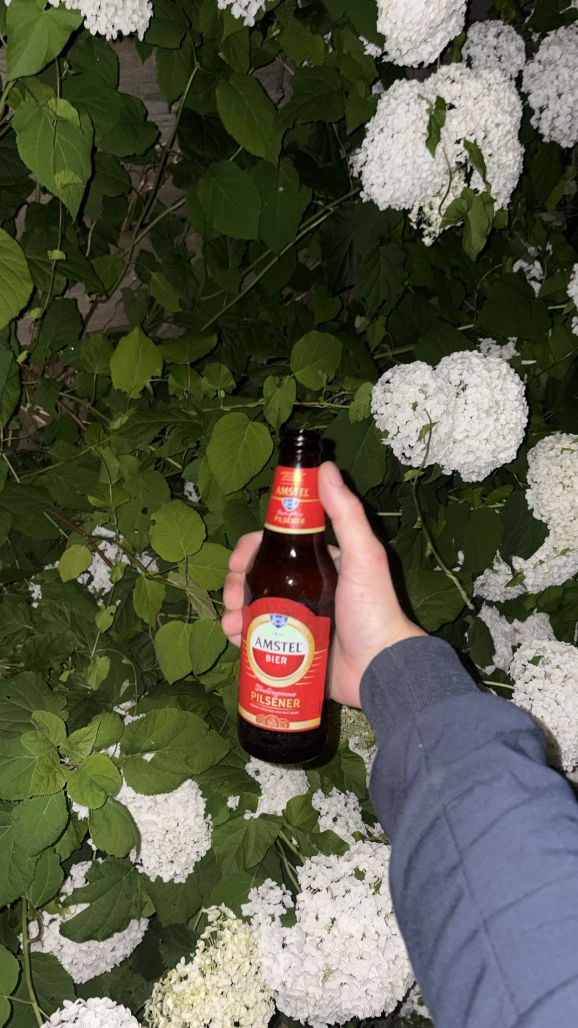 Beer #27940