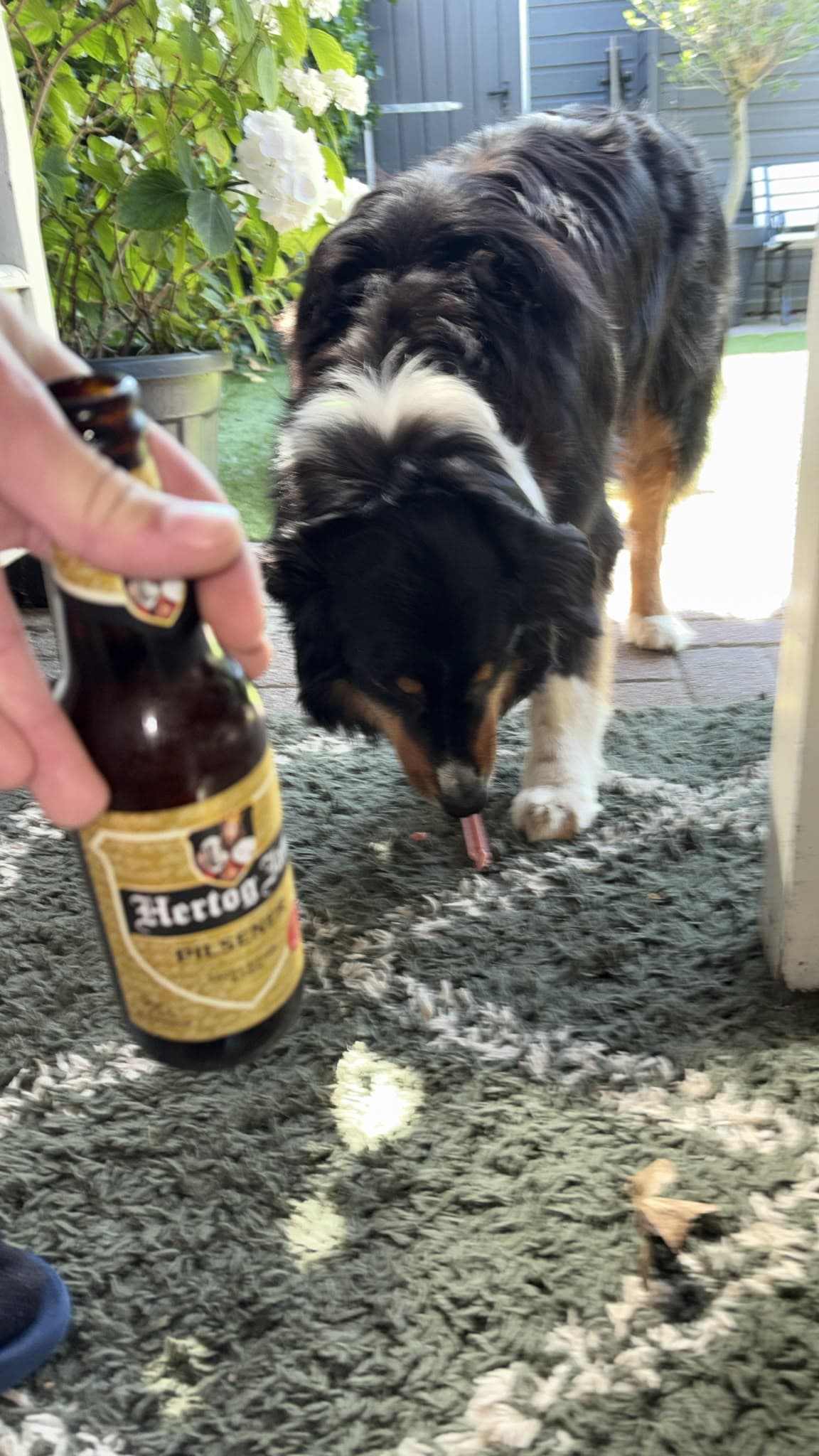 Beer #28045