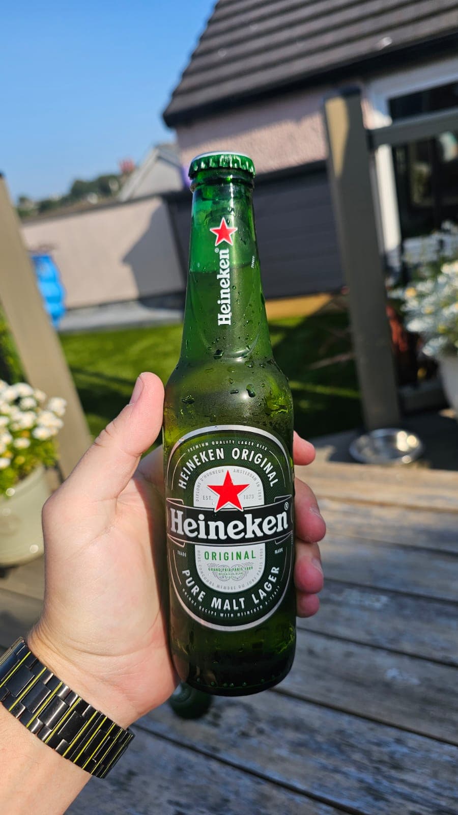 Beer #28446