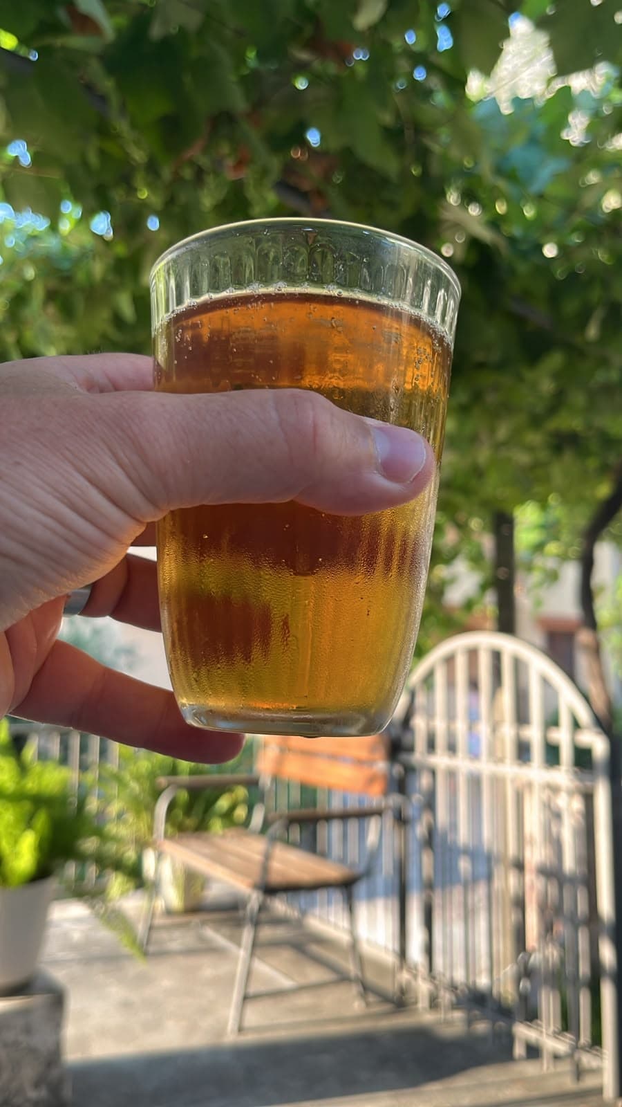 Beer #28451