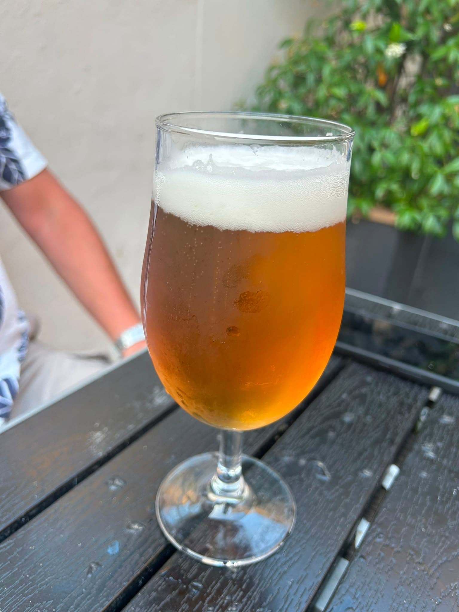 Beer #29494