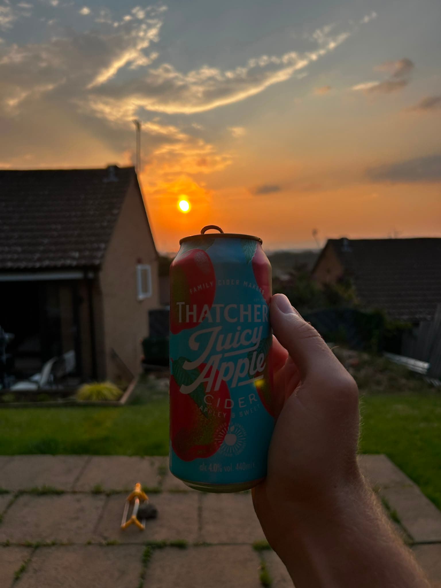 Beer #29535