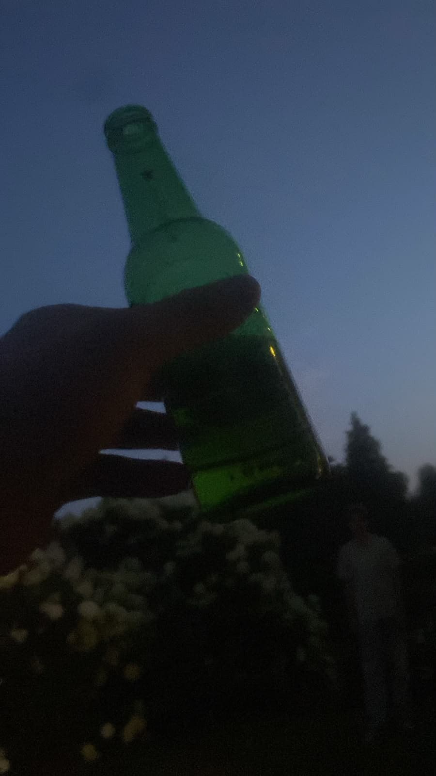 Beer #29606