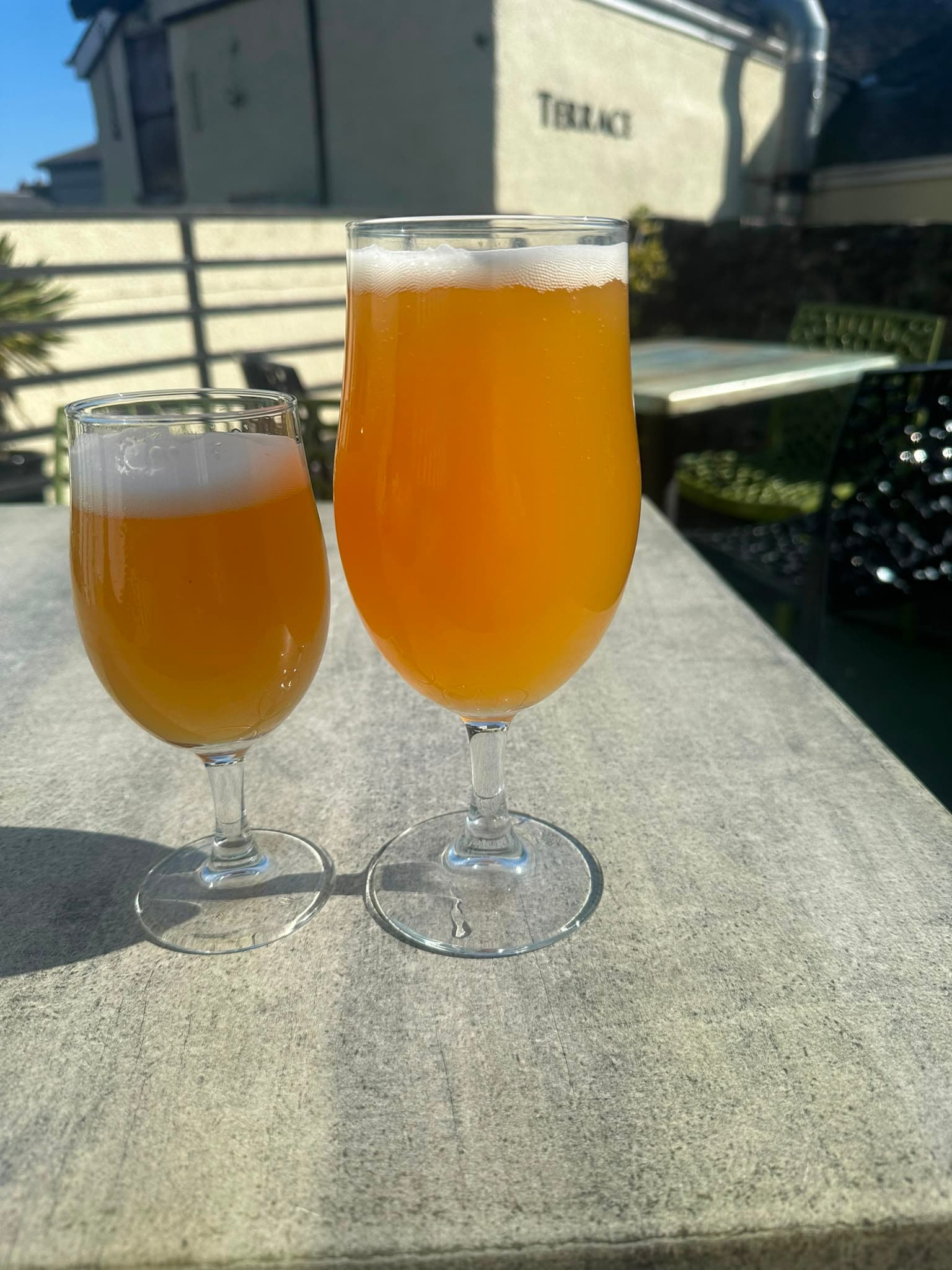 Beer #30709