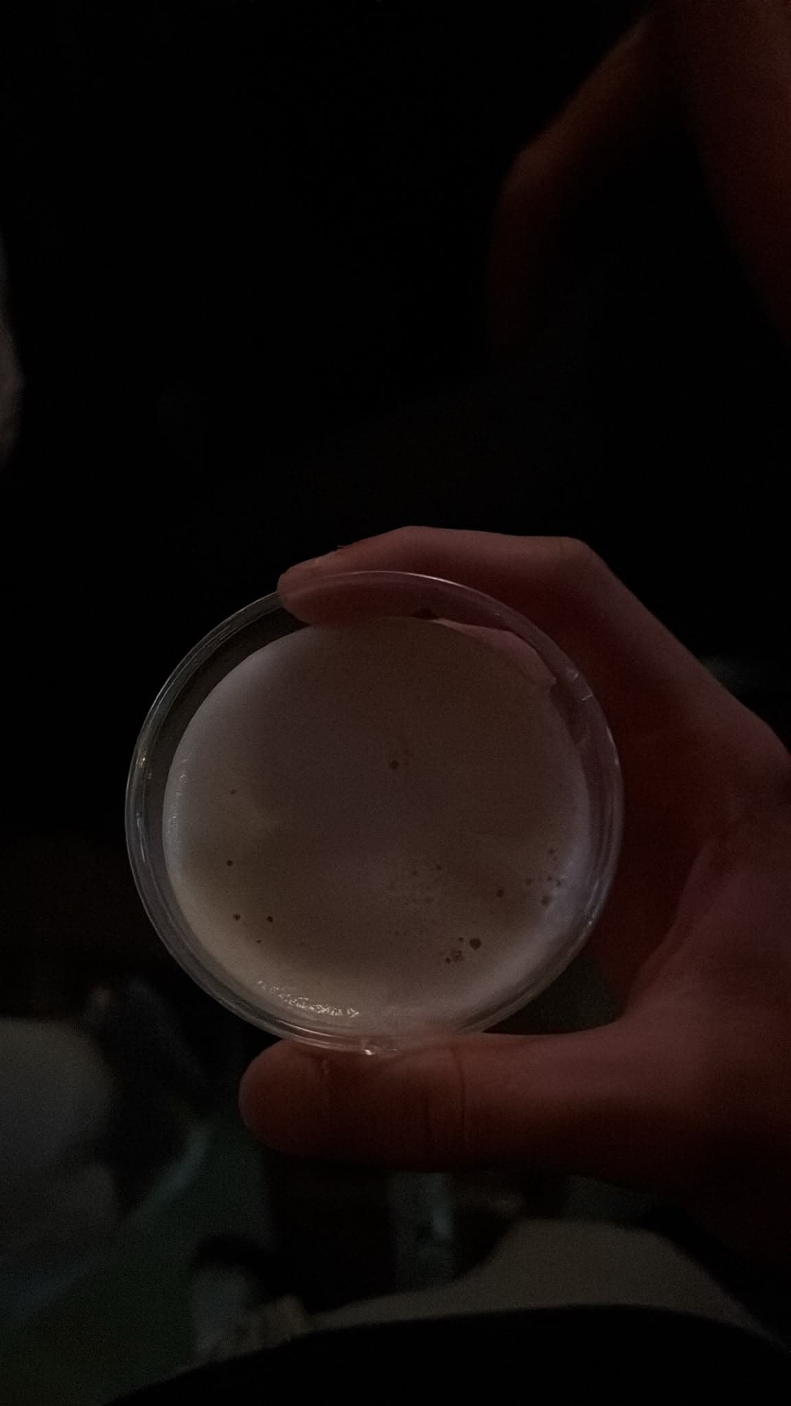 Beer #30782