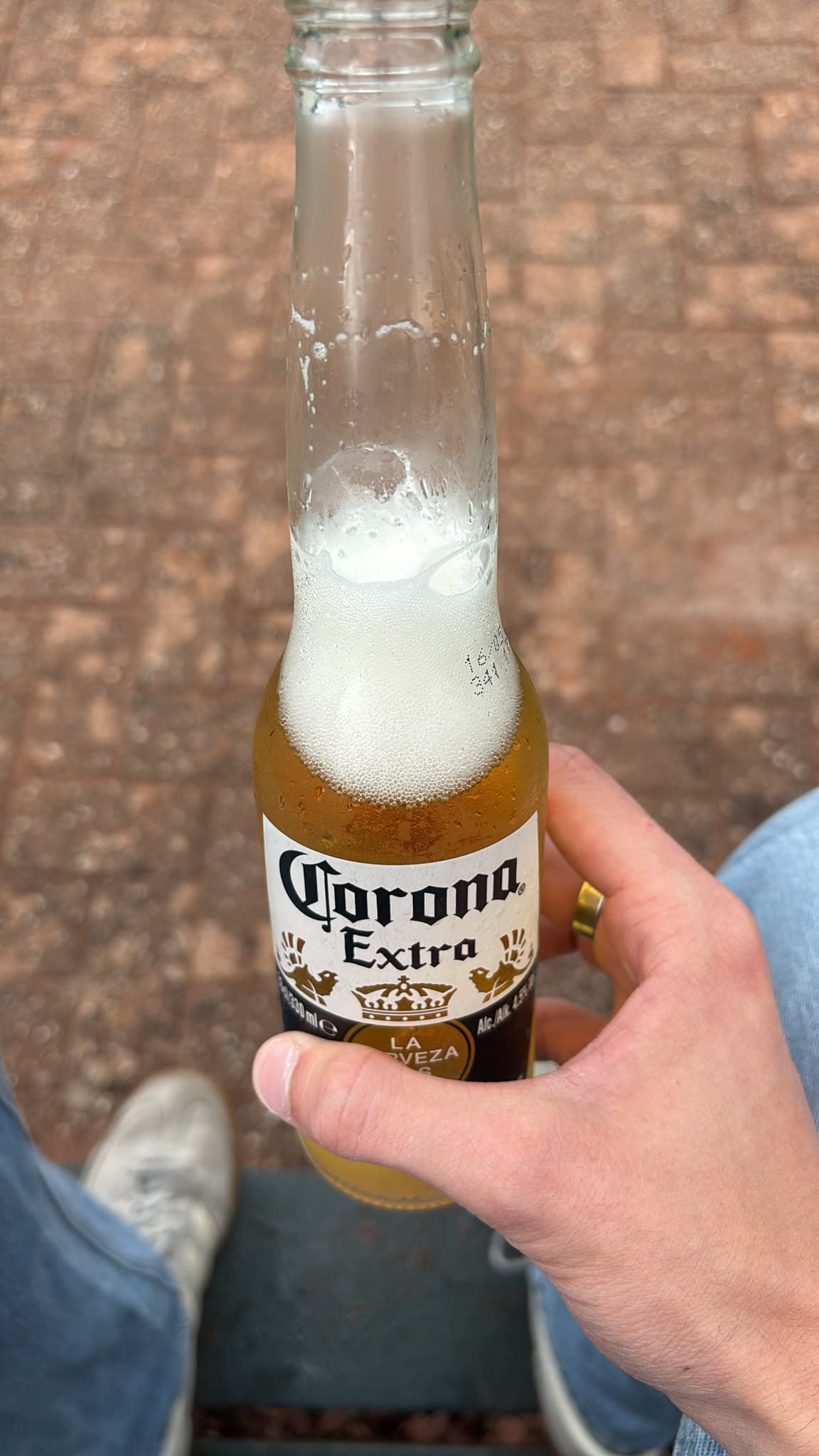 Beer #31371