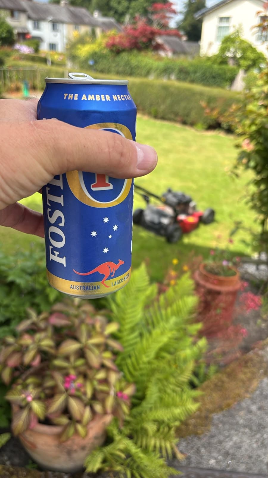 Beer #31512