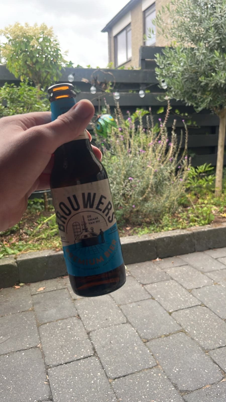 Beer #31536