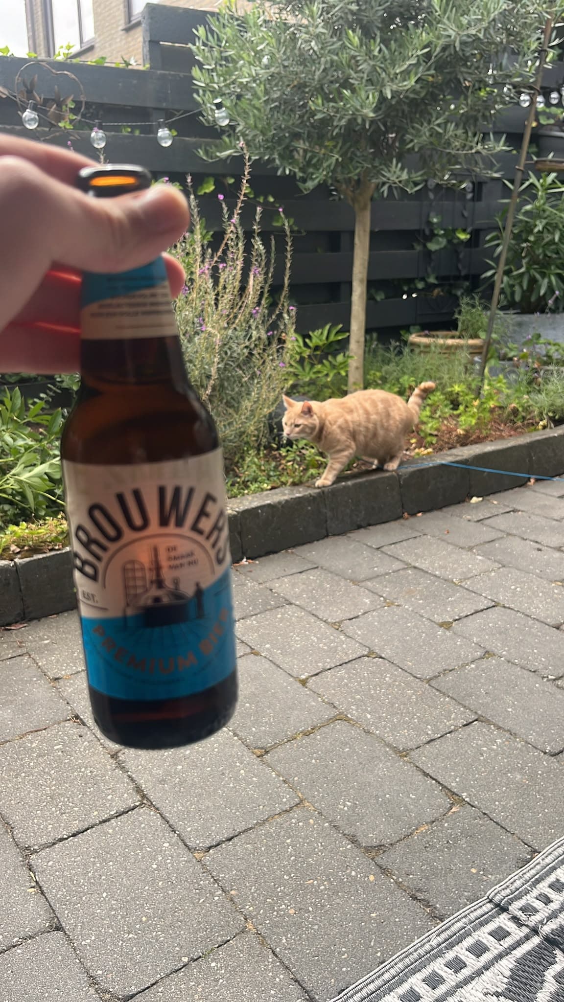 Beer #31545