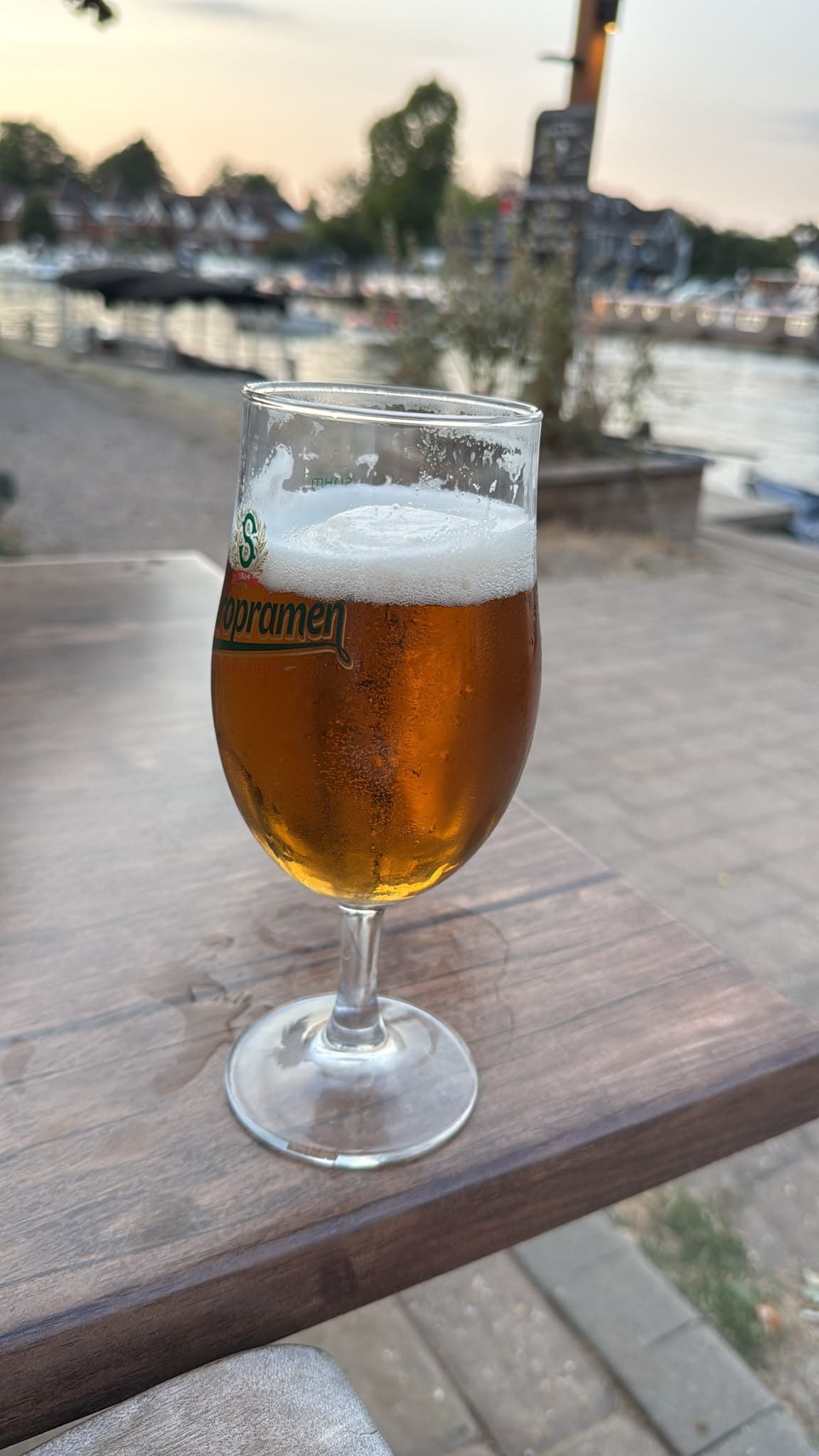 Beer #31699
