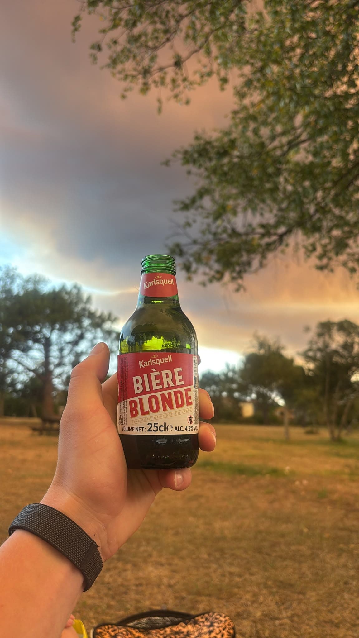 Beer #32319